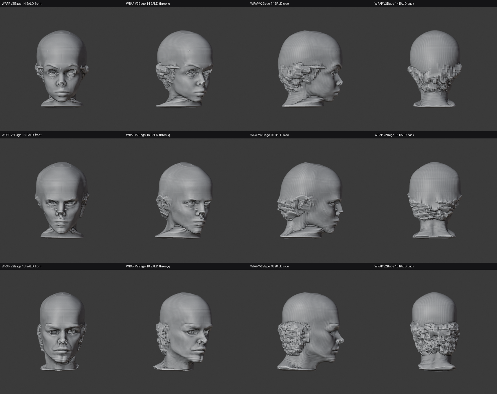 WRAP_V2B_THREE_AGES.png