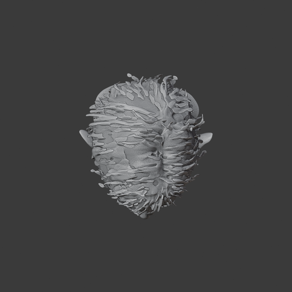 TARGET_A14_V3H_PINNED_top.png