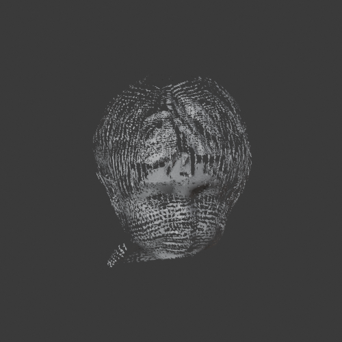 022_ACCEPTED_TARGET_FACES_PIVOT_front.png