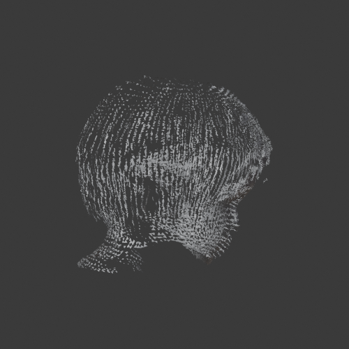 022_ACCEPTED_TARGET_FACES_PIVOT_side.png
