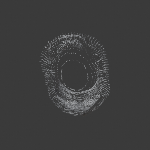 022_ACCEPTED_TARGET_FACES_PIVOT_top.png
