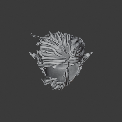 023_REJECTED_density_classifier_tau135_top.png