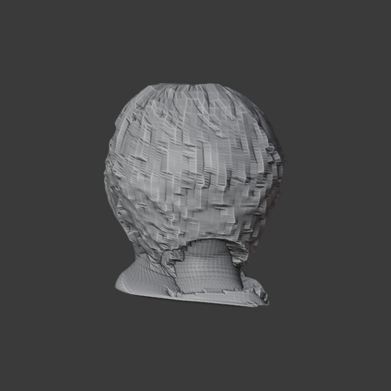 031_WRAP_PIVOT_back.png