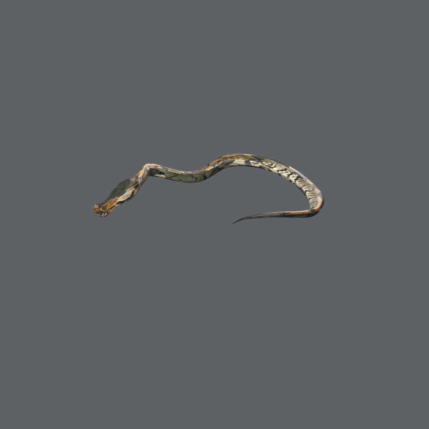 SK_CR_0002_after_tex.png