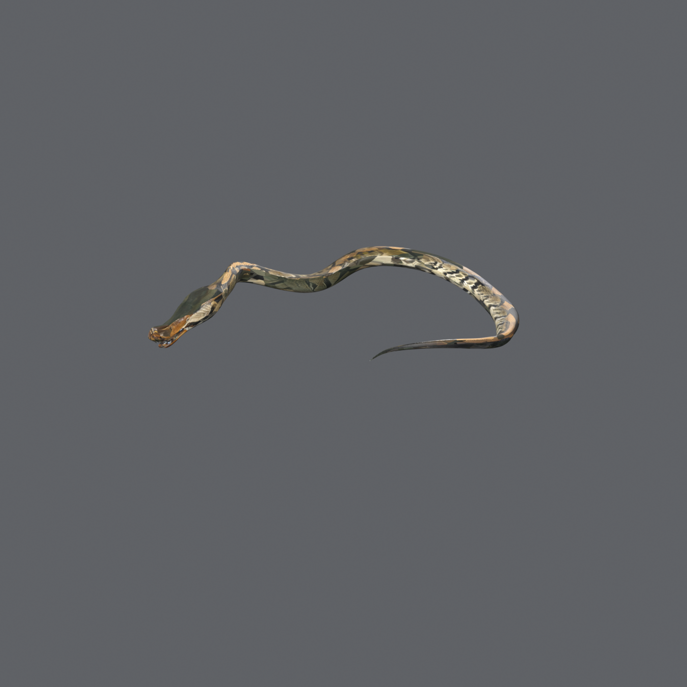SK_CR_0002_before_tex.png