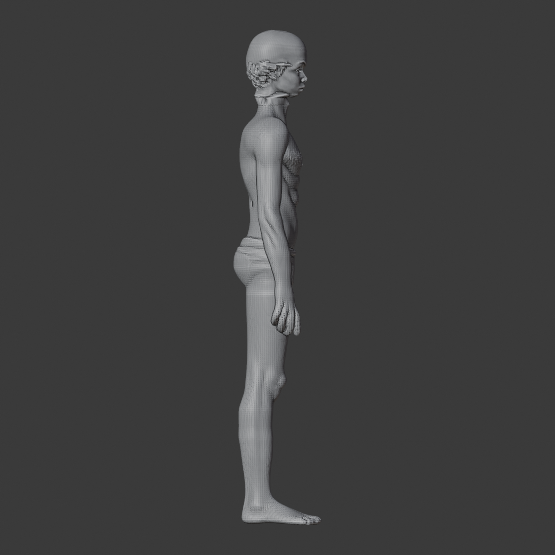 GRAFT_A14_HI3DGEN_V3_az090.png