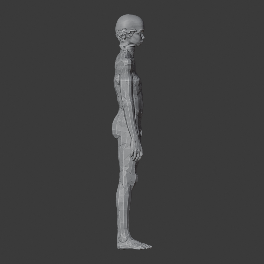 GRAFT_A14_TRELLIS2_V3_az090.png