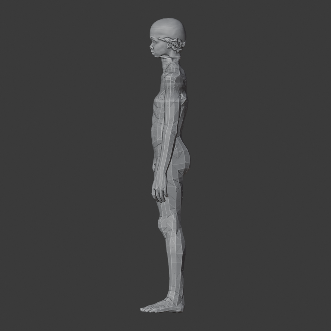 GRAFT_A14_TRELLIS2_V3_az270.png