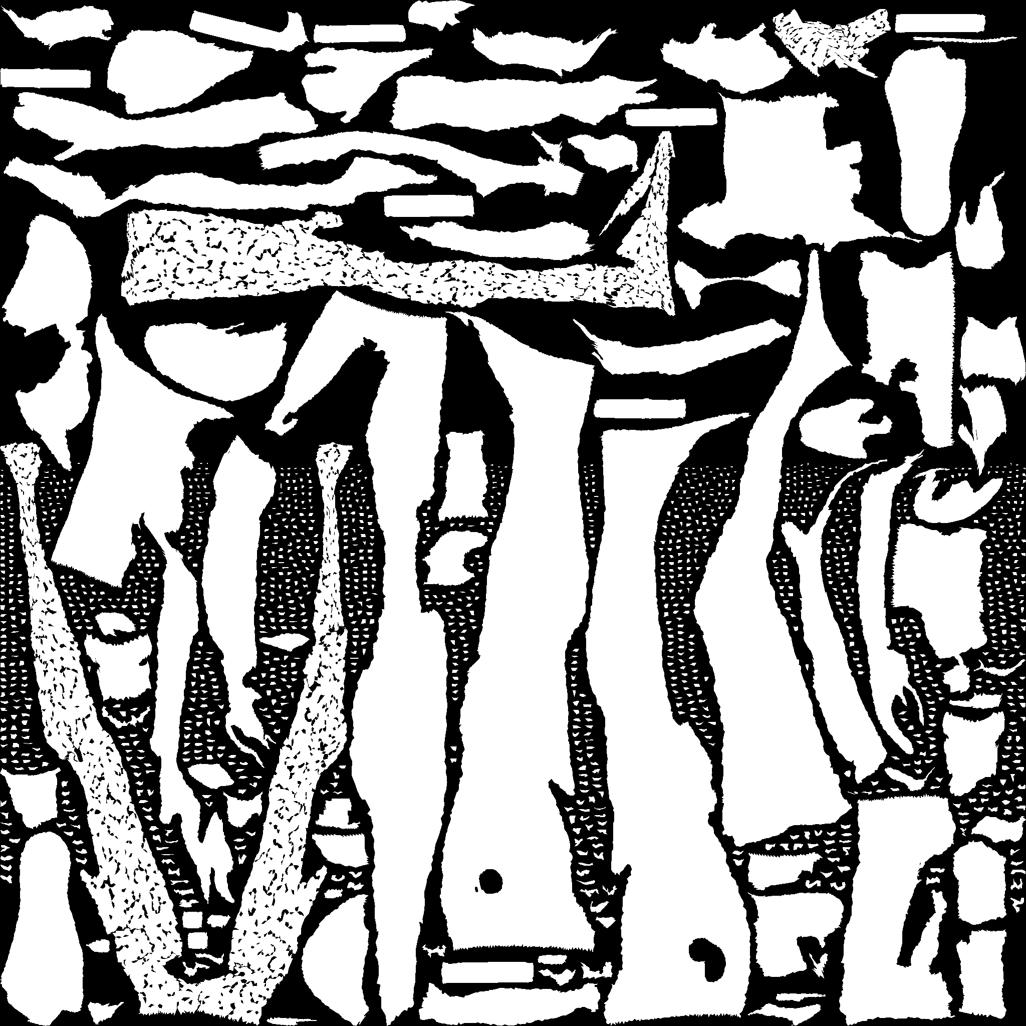 A14_MASK.1001.png
