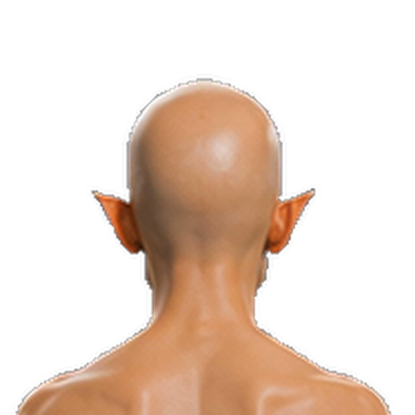 A14V3_back_head_cut.png