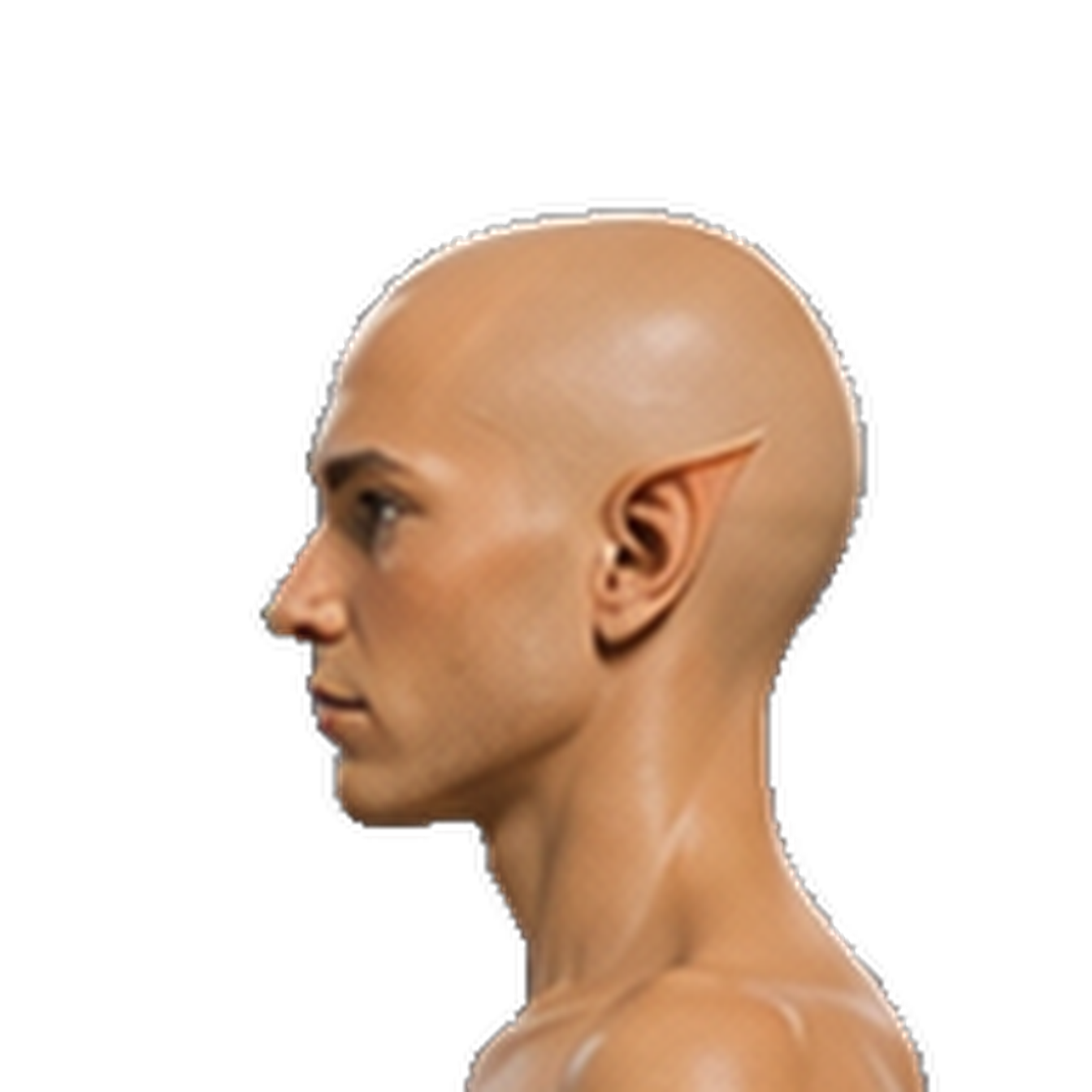 A14V3_side_head_cut.png