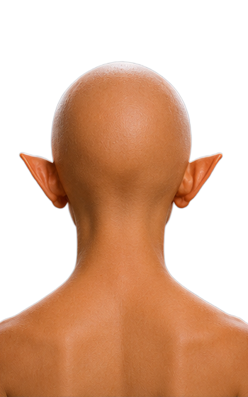 AGE_14_back.png