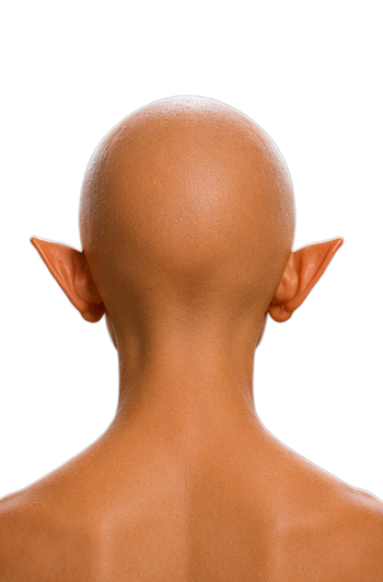 AGE_14_back.png