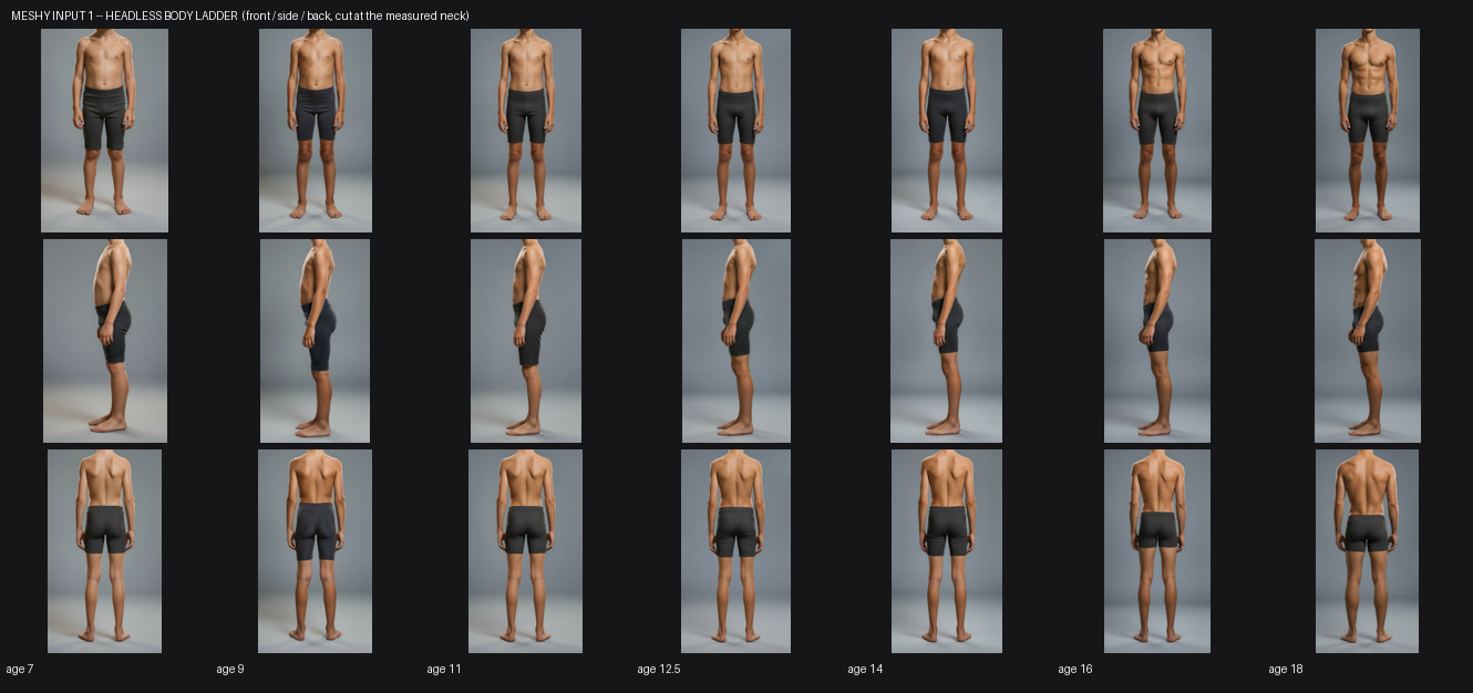 LADDER_BODY.png