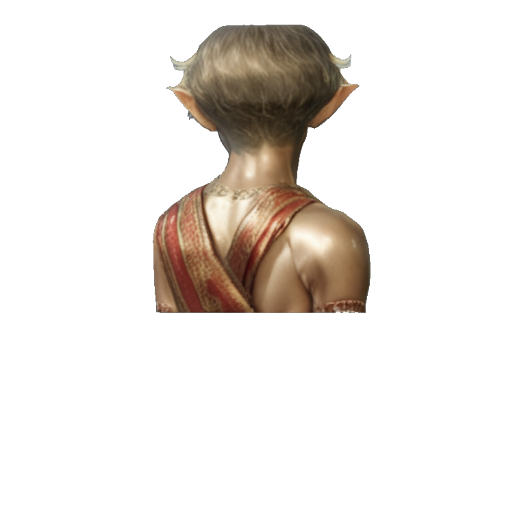 A14_HAIRED_mva_i2mv_view_03.png