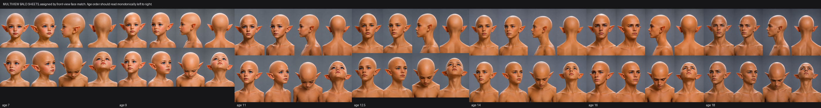 MULTIVIEW_ORDER_CHECK.png