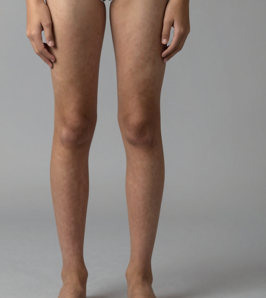 BODYV3_A14_CHUNK_LEGS_a0.png