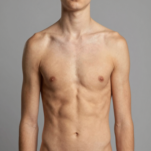 BODYV3_A18_CHUNK_TORSO_a0.png