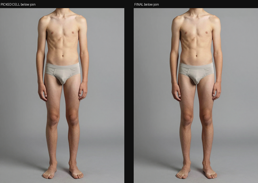 BODYPAIR_PRESCALED_NATIVE_s0_A14.png