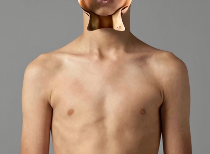 P1_SEAM_A11_d45.png