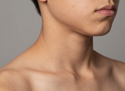 P1_SEAM_A11_d80.png