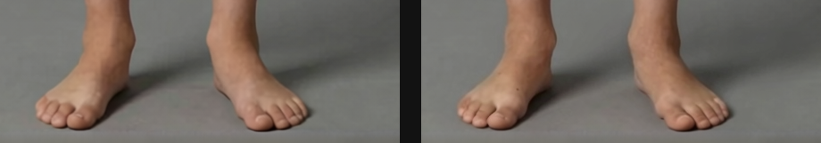 V7FEV_FEET_A7.png