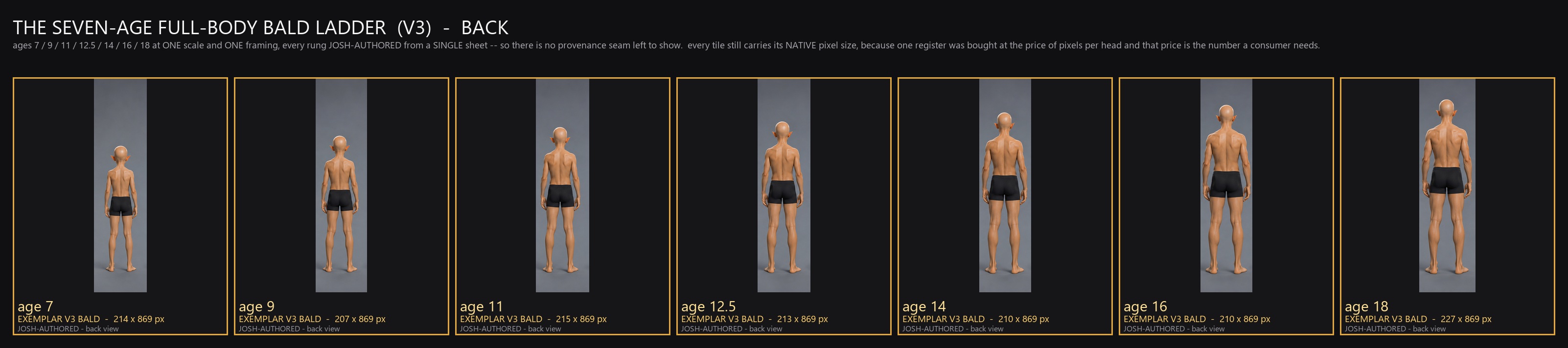 SEVEN_AGE_BODY_LADDER_V3_BACK.jpg