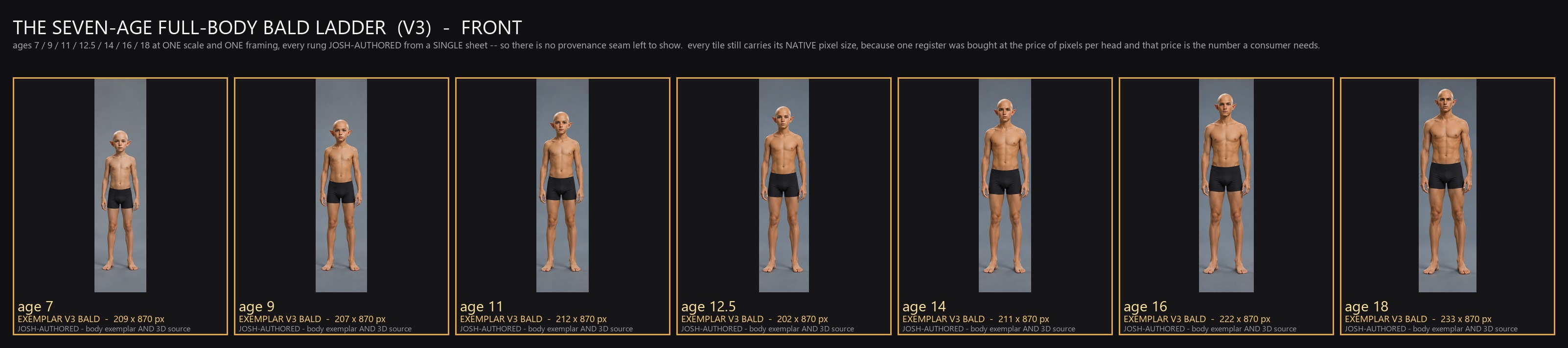SEVEN_AGE_BODY_LADDER_V3_FRONT.jpg