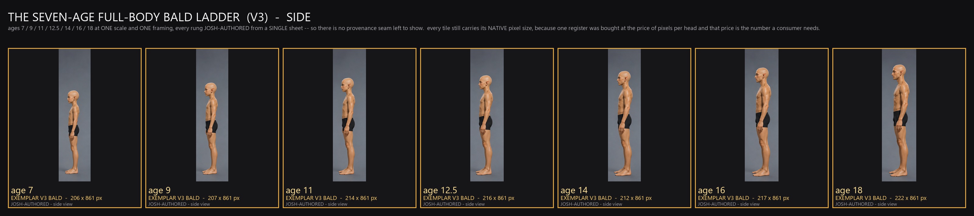 SEVEN_AGE_BODY_LADDER_V3_SIDE.jpg