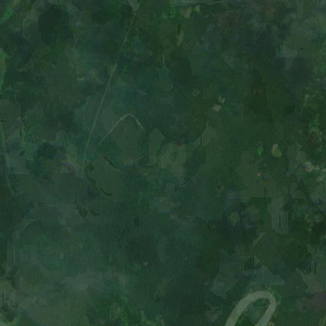 akan_goldfields_niger_delta_s2cloudless_z14.png