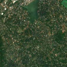 anuradhapura_sacred_city_s2cloudless_z14.png
