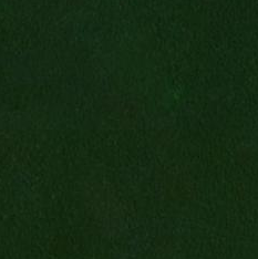 congo_river_mainstem_s2cloudless_z14.png