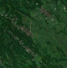 jatiluwih_subak_terraces_s2cloudless_z14.png