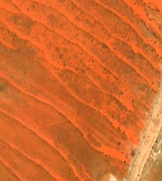kalahari_gwi_reaches_s2cloudless_z14.png