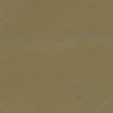 lake_eyasi_shore_s2cloudless_z14.png