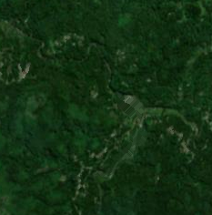 liang_bua_cave_period_z14.png