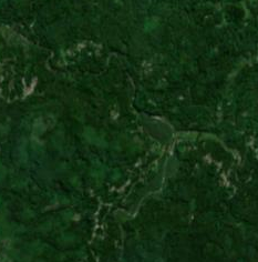 liang_bua_cave_s2cloudless_z14.png