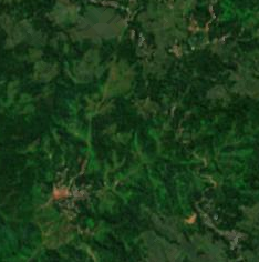 lingko_forest_edge_period_z14.png