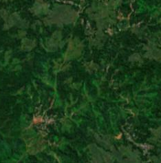 lingko_forest_edge_s2cloudless_z14.png
