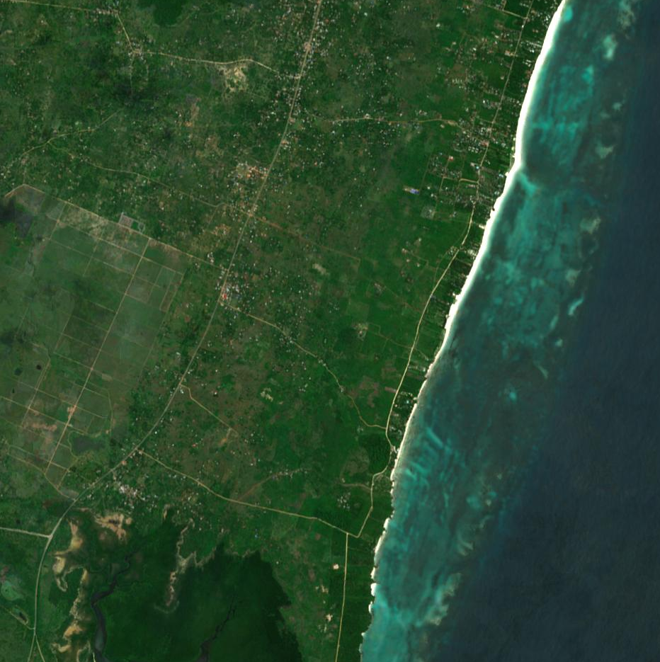 mijikenda_kaya_edge_s2cloudless_z14.png