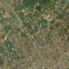 ouidah_python_temple_s2cloudless_z14.png