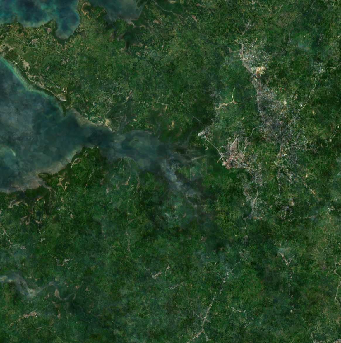 pemba_s2cloudless_z14.png