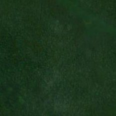 sangha_trinational_reach_s2cloudless_z14.png