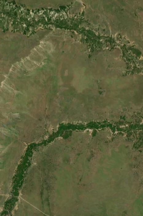 serengeti_plain_margin_s2cloudless_z14.png