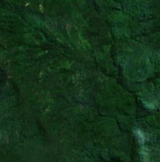 wae_rebo_village_s2cloudless_z14.png